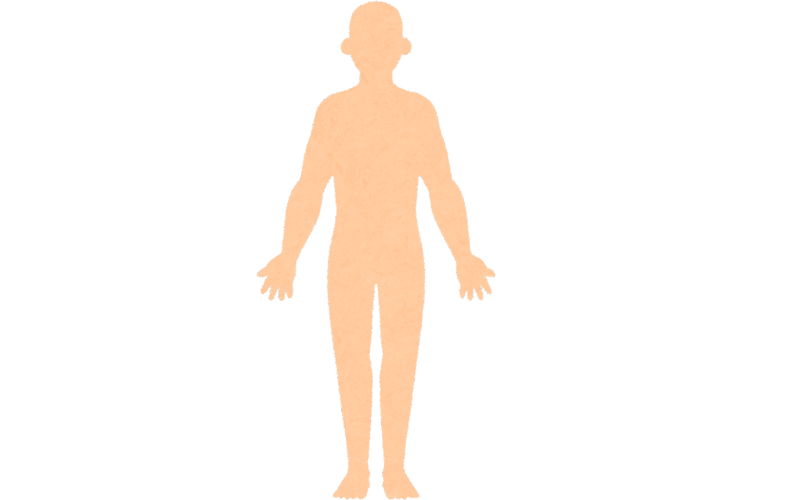 「頭身」をイメージする人間の全身像